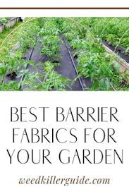 That's what we would recommend. 360 Weeding Tools Ideas In 2021 Gardening Tool Kit Weeding Tools Kill Weeds Naturally