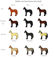 the jorvik report horse color chart