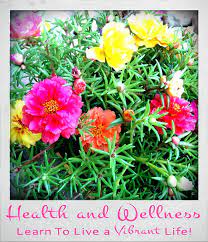The latest news and information on heart health. Health Wellness Articles For Living A Vibrant Life