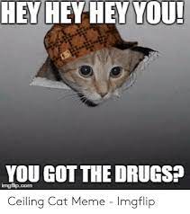 Ceiling cat is a character spawned by the meme. Hey Hey Hey You You Got The Drugs Ceiling Cat Meme Imgflip Drugs Meme On Me Me