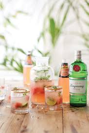 If You Are Looking For Cocktail Recipes Try This Gin Cocktail With Watermelon Lime And Schweppes Agrum In 2020 Gin Cocktail Recipes Gin Cocktails Gin Recipes