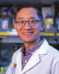 T cell extracellular traps p. 2