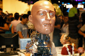 Humanoid Social Robotics — Thomas Riccio