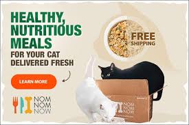 the 51 best organic cat food brands of 2019 pet life today