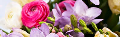Check spelling or type a new query. Peoria Il Florists Flowers Peoria Il Georgette S Flowers