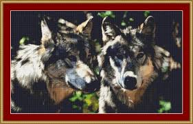 Check spelling or type a new query. A Pair Of Grey Wolves Cross Stitch Pattern By Avalon Cross Stitch