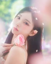 애순이 - 나무위키