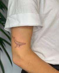 Humpback whale tattoo vectors (163). Humpback Whale
