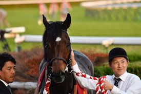 Let's you bookmark to your pinboard and give a new look to pinboard.in. é«˜æ¾å®®è¨˜å¿µ2019ã®äºˆæƒ³ã‚ªãƒƒã‚º äººæ°—ã¨æ³¨ç›®ã®å‡ºèµ°äºˆå®šé¦¬ã¯ Jraé‡