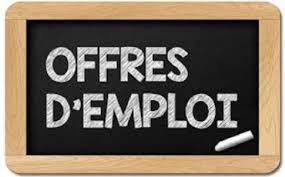Offre D Emploi En 2020 Offre Emploi Emploi Aide A Domicile