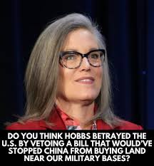 coozy land hummingbird feeder On Threads