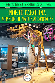 15 Best Exhibits At The North Carolina Museum Of Natural Sciences Science Nature North Carolina Museum