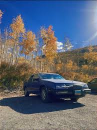 Image result for Light Driftwood 1991 Buick