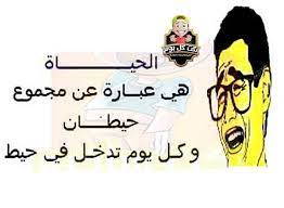 نكت مضحكة جد ا تفرفشك ولم يراها الكثير وصور عليها نكت موقع مصري really funny memes jokes quotes funny picture jokes