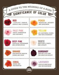 Pin By Flowernifty Com On Flower Nifty Rose Arrangements Rose Color Meanings Flower Meanings