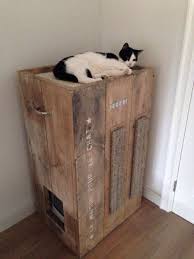 This homemade top entry litter box work great for my two kitties… i was worried at first that they would shun them. 8 Creative Ways To Hide Your Cat S Litter Box Healthy Paws