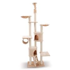 Spatiul de joaca pentru copii reprezinta cadrul in care cei mici isi in cazul in care nu dispuneti de incaperi suficient de mari in casa, locurile de joaca pot fi amplasate in exterior, fie in curte, fie in. Ansambluri De JoacÄƒ Pentru Pisici PreÈ›uri Avantajoase Zooplus Ro