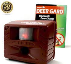 It drives them away with an ultrasonic/sonic sound that they can not stand. Bird And Pest Control Products For Retailers