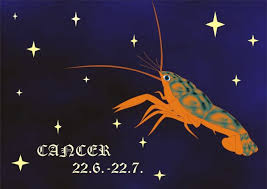 Cancer woman can be gentle, shy, and modest and then suddenly becomes desperately coquettish. The Secret Traits That Make The Cancer The Most Loving And Sensitive Sign Of The Zodiac