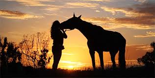 Résultat de recherche d'images pour "gif soleil"