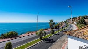 Image result for Atalaya alata