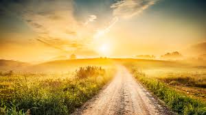 With alec guinness, joan greenwood, peter finch, cecil parker. Der Eigene Weg Buch Uber Lebensgeschichten Von Frauen Evidero