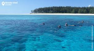 Mnemba Island Snorkeling gallery 2