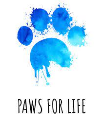 By working with committed fosters, volunteers, supporters, adopters, veterinarians, and trainers both in vermont and in the south, we rescue, nurture, provide medical care, housing, and rehabilitation to these precious pups while providing them with a safe and loving environment for as long as it takes their families to find and adopt them. Paws For Life K9 Rescue Paws For Life Prison Program