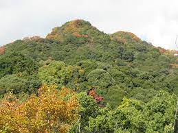 Mount Shigi - Wikipedia