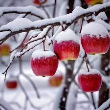 https://encrypted-tbn0.gstatic.com/images?q=tbn:ANd9GcTyGCha3NvZ66dLBx1D9JeiqL4Jib2tzO8_ffzpTY8qUjhJlVRHXU-oZfOhZQe9wW30O60&usqp=CAU