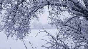 We recommend you check the weather when planning your travel wardrobe, and bring layers. Snow Blankets New Mexico For Thanksgiving Kvia