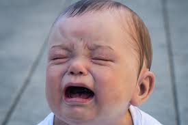 Yall are nasty, pick up your trash, don't ruin it for the rest of us.