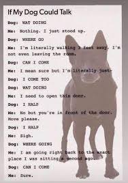 Pin On Dogs