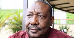 Late Cabinet Minister Mbiyu Koinange's Son Dies in Road Accident