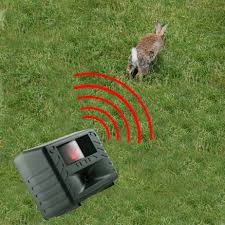 My samples of pest venator were operating. Yard Gard Ultrasonic Pest Control For Outdoors Bird X