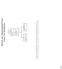 Organizational Structure Of Metlife Inc And Subsidiaries