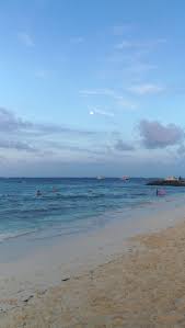 corina morin (@corinamorin)