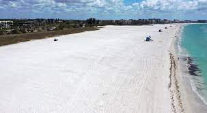 Check spelling or type a new query. 10 Best Beaches In Sarasota Bradenton Venice