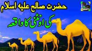 When saleh was appointed as prophet, he started guiding people. Hazrat Saleh As Ki Qoam Ka Ibrat Nak Waqia By Zama Voice