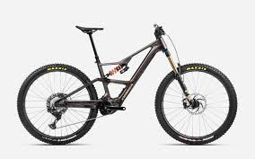 Image result for Orbea umbracula