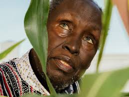 Ngũgĩ wa Thiong'o: three days with a giant of African literature