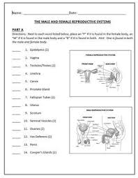 Pin On Biology