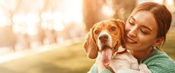 At affordable animal hospital silver lake, we care about our animal patients and want to help them live long, healthy, happy lives. Veterinarians In Lexington North Davidson