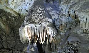 Gunung mulu merupakan lokasi terawal di malaysia yang diiktiraf sebagai tapak warisan dunia oleh unesco pada tahun 2000. Borneo Natur Und Kultur In Den Malaysischen Bundesstaaten Sarawak Und Sabah 2019 Bios Buro Fur Umweltgutachten