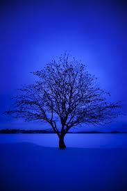 Blue Aesthetic Landscape Wallpapers Wallpaper Cave Aesthetic dark blue and pink wallpaper. blue aesthetic landscape wallpapers