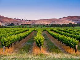 Applicants in greater adelaide must apply through the talent and innovators program Luxury Holidays In South Australia Mr Mrs Smith