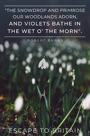 Ten Beautiful Snowdrop Quotes For The Early Spring Etb Spring Quotes Romantic Poets Quotes