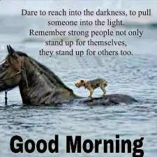 Good Morning Inspiration Animals Horses Animals Friends 20 beautiful good morning quotes to get your day started. animals horses animals