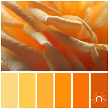 List of amazing orange color combinations. Color Palette Color Combination Farbpalette Hue Yellow Gelb Yellow Orange Gelb Orange Orange Farbpalette Wandfarbe Farbkombinationen