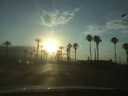 The term colitas in the first stanza (warm smell of colitas, rising up through the air) has been interpreted as a sexual slang or a reference to marijuana. The Warm Smell Of Colitas Bjurmans New York Blogg